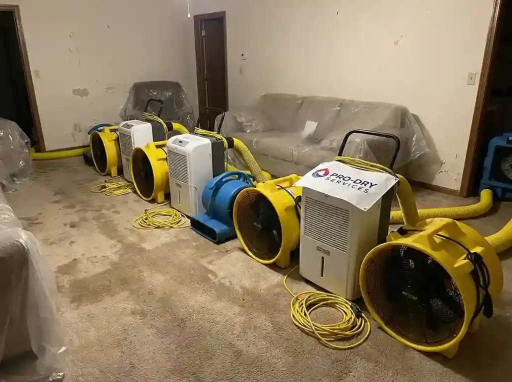 Commercial-grade air circulation and dehumidification equipment used by water restoration