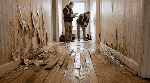 burst water damage caused hardwood floor to buckle and wallpaper to peel